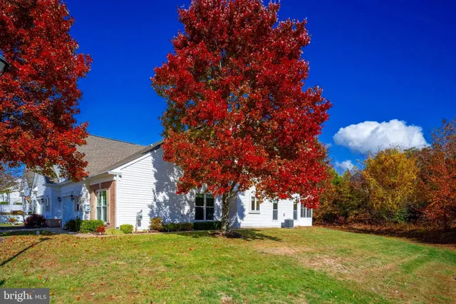 a view of a bedroom with wooden floor and a potted plant