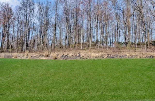 a garden with trees in front of it
