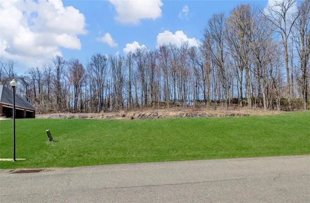 a view of a back yard