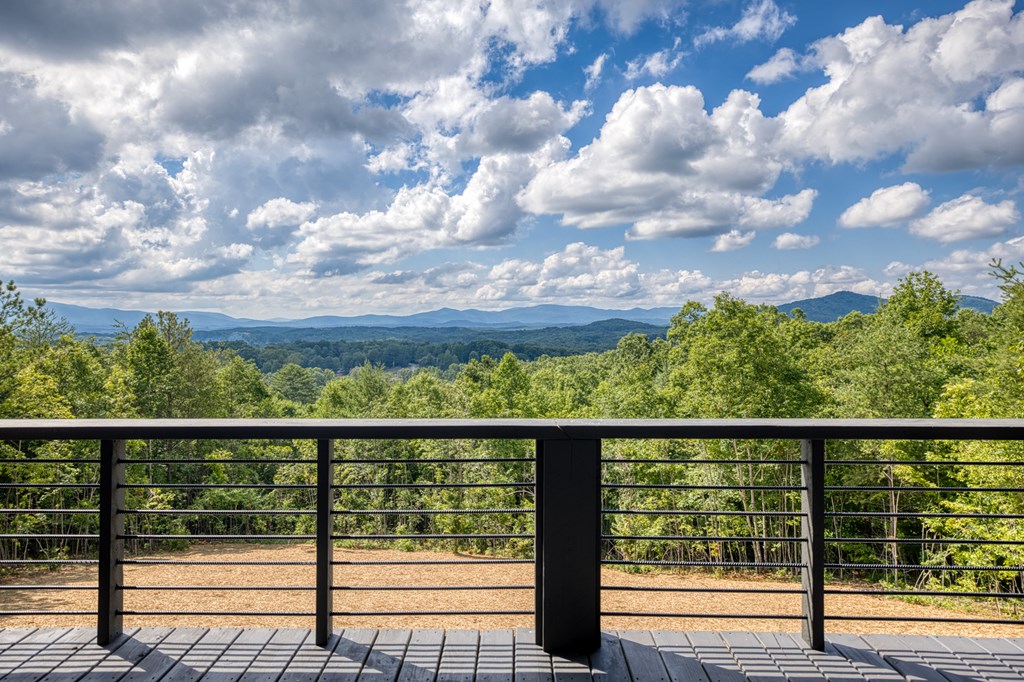 330 Cinnamon Bear Road Mineral Bluff, GA 30559 - Photo 11 of 75