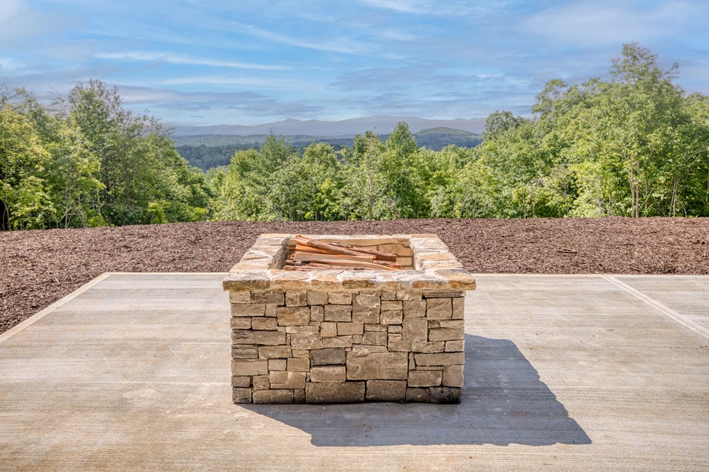 330 Cinnamon Bear Road Mineral Bluff, GA 30559 - Photo 13 of 75