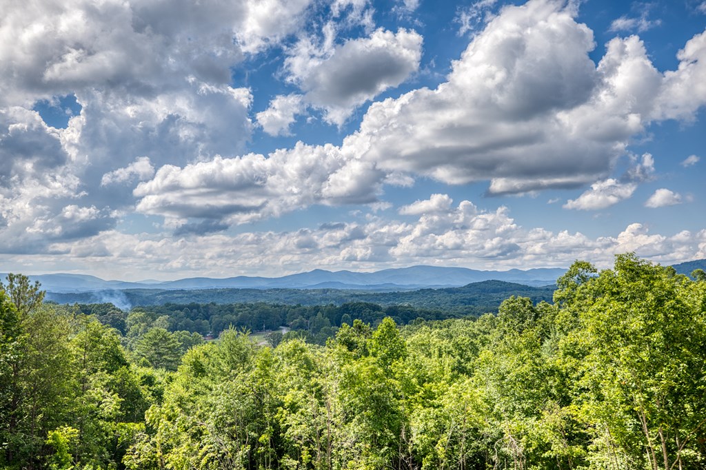 330 Cinnamon Bear Road Mineral Bluff, GA 30559 - Photo 3 of 75
