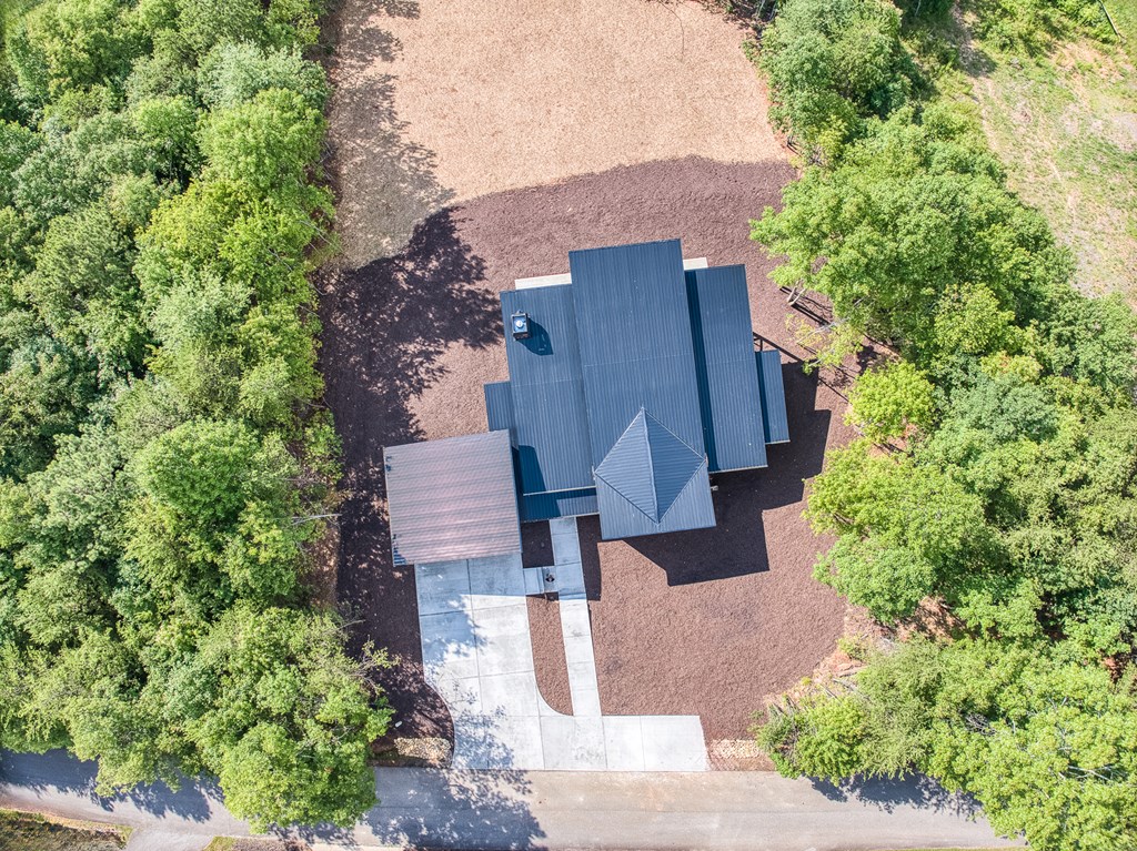 330 Cinnamon Bear Road Mineral Bluff, GA 30559 - Photo 69 of 75