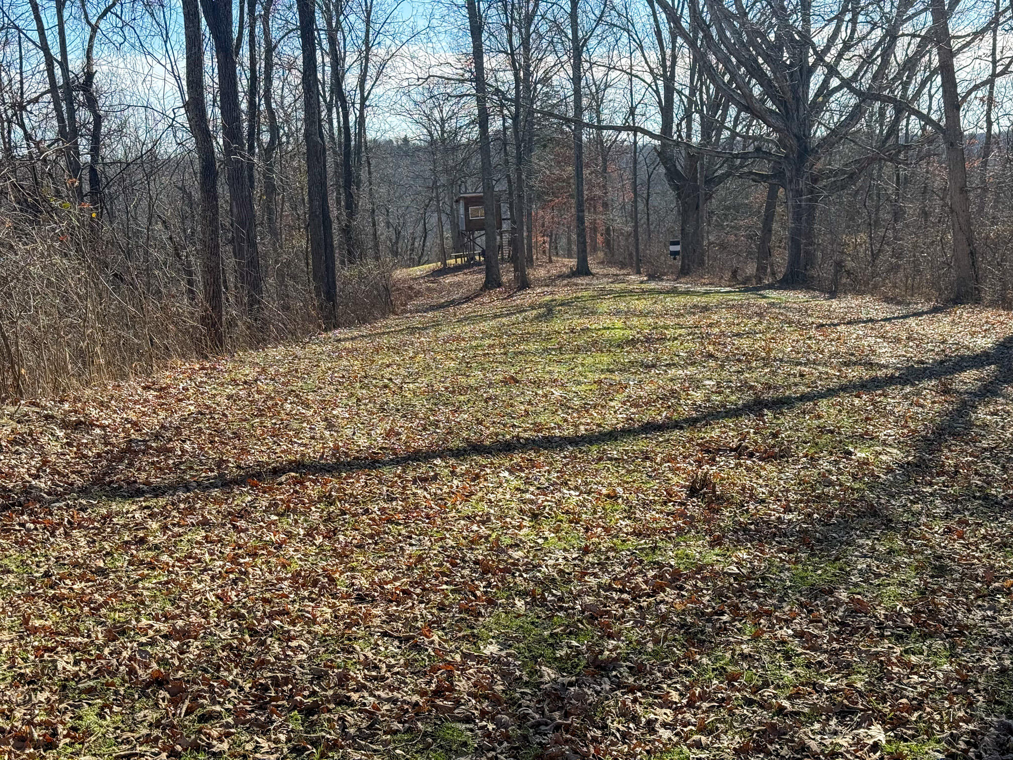 248 Sulphur Lick Road Frankfort, KY 40601 - Photo 43 of 50