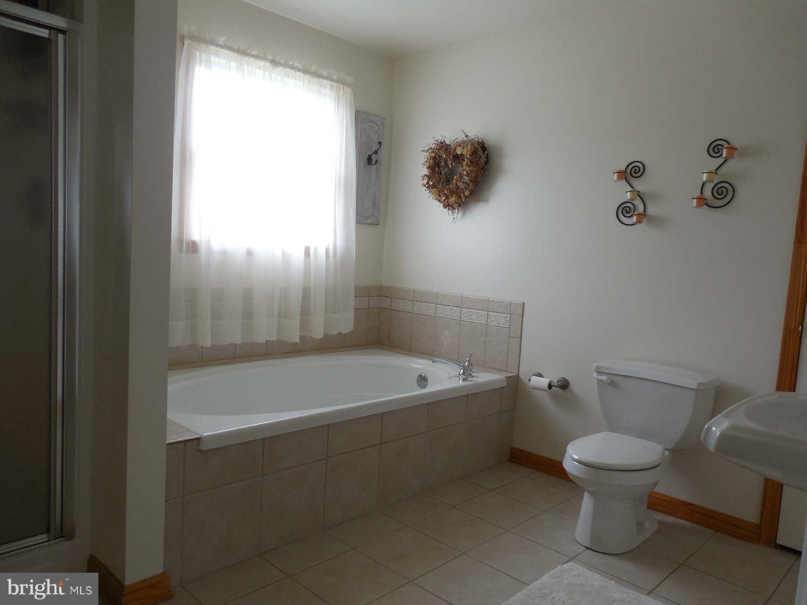 1136 Boyd Road Street, MD 21154 - Photo 21 of 27 Master Bath-Ceramic Tiled