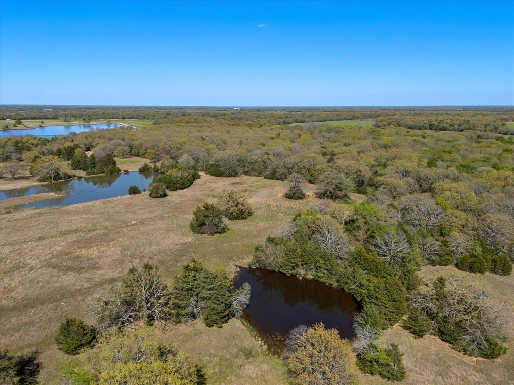 0 Us Highway Point, TX 75472 - Photo 13 of 21