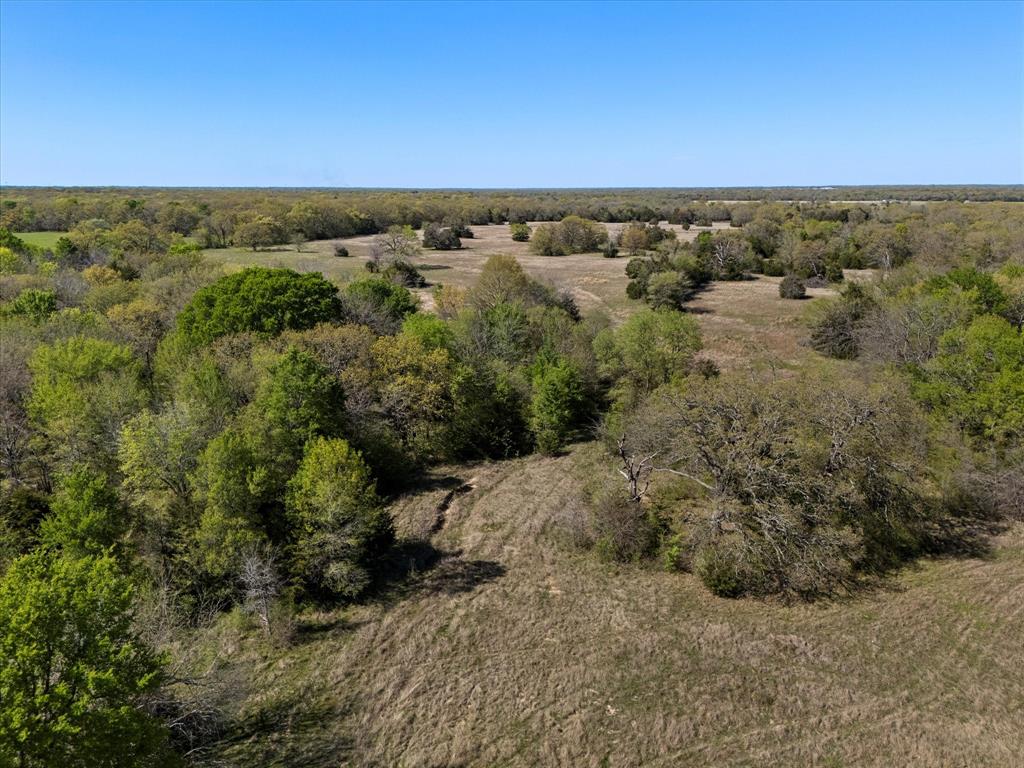 0 Us Highway Point, TX 75472 - Photo 15 of 21
