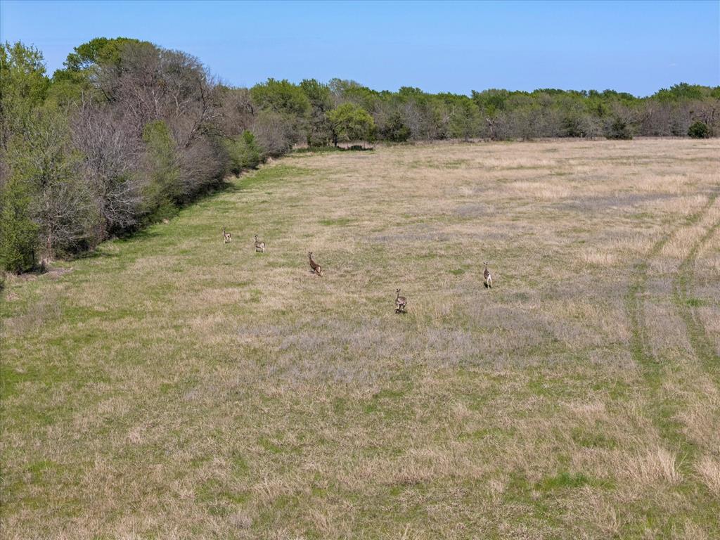 0 Us Highway Point, TX 75472 - Photo 5 of 21