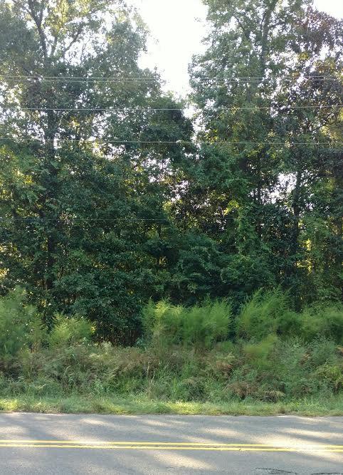 Lot #8 Berryhill Road Johns Island, SC 29455 - Photo 1 of 1 Berryhill