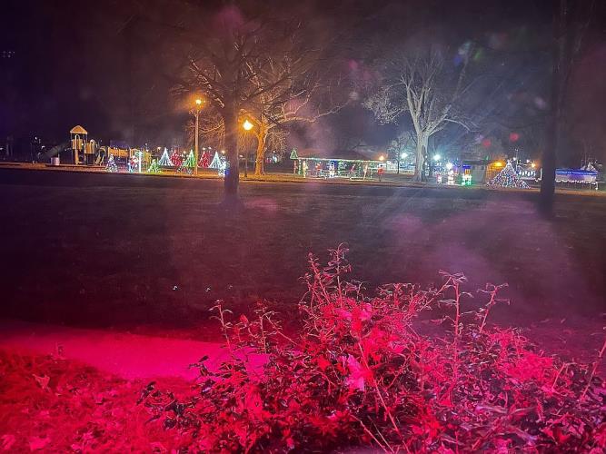 1059 North Cherry Street Breese, IL 62230 - Photo 4 of 12