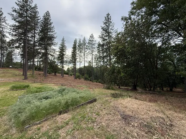 $299,000 | 16824 Pine Grove Reservoir Road, Nevada City, CA 95959