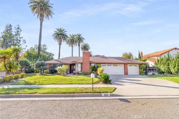 a front view of a house with a garden and palm trees