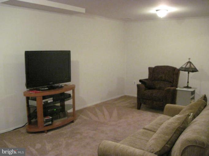2410 Albot Road Reston, VA 20191 - Photo 13 of 18 Recreation Room