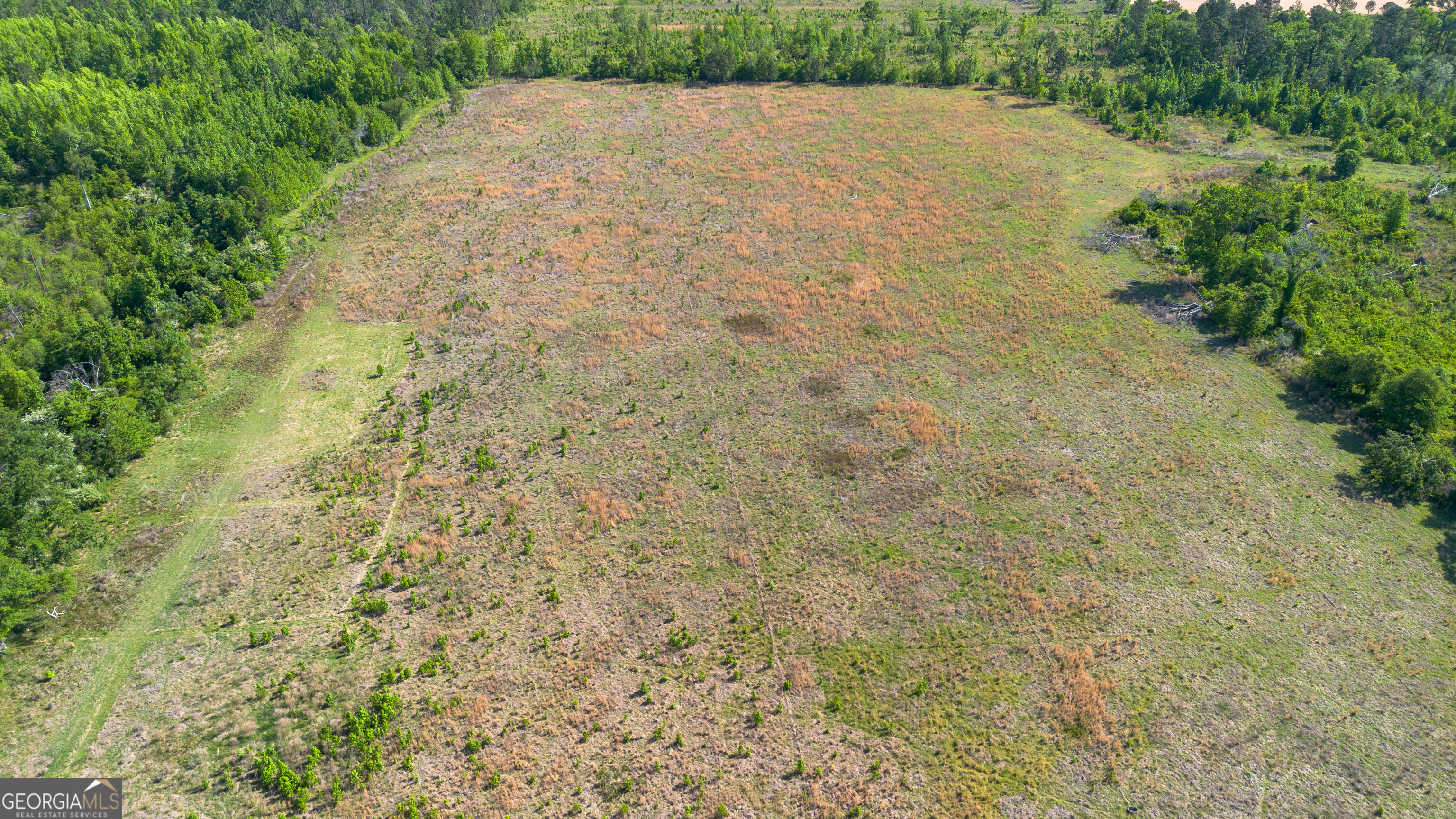 0 Scotts Store Road Millen, GA 30442 - Photo 12 of 13 Gallery Image 12