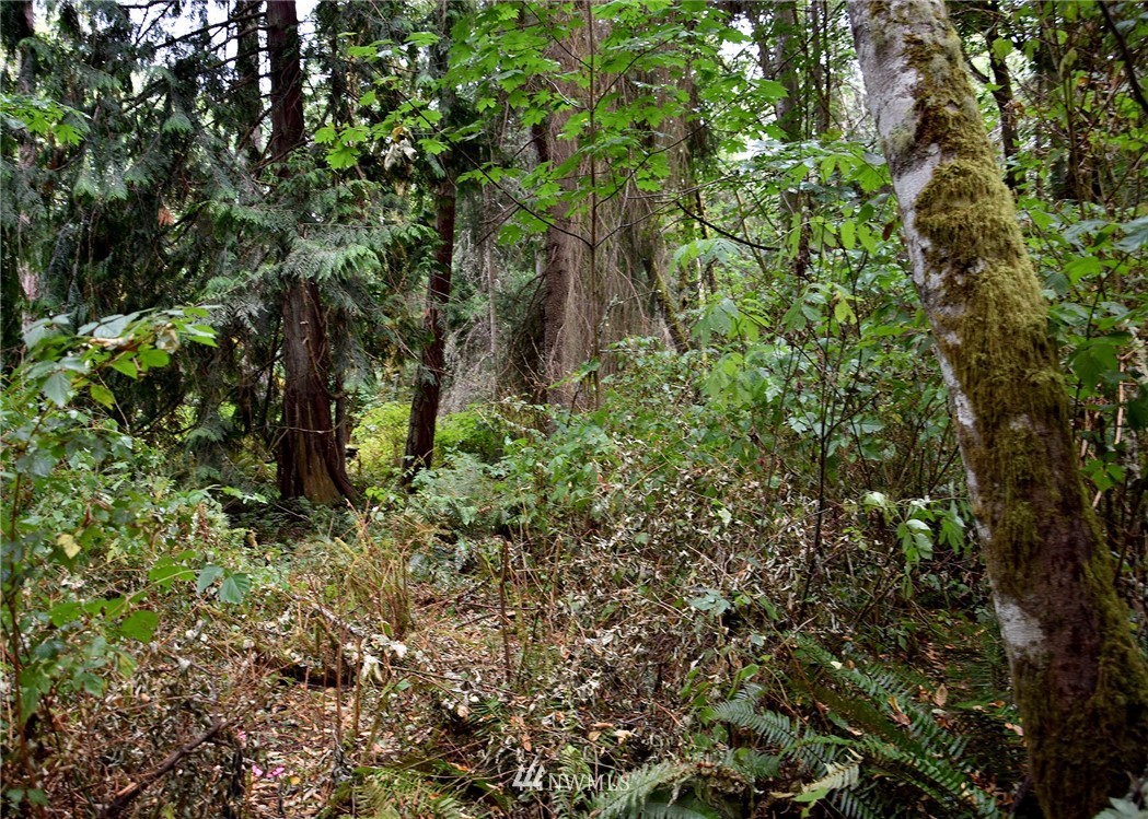 0 Seatter Road Northeast Kingston, WA 98346 - Photo 2 of 15 Gallery Image 2