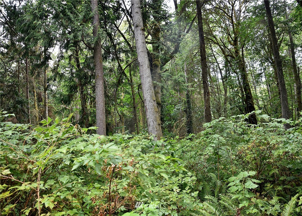 0 Seatter Road Northeast Kingston, WA 98346 - Photo 11 of 15 Gallery Image 11