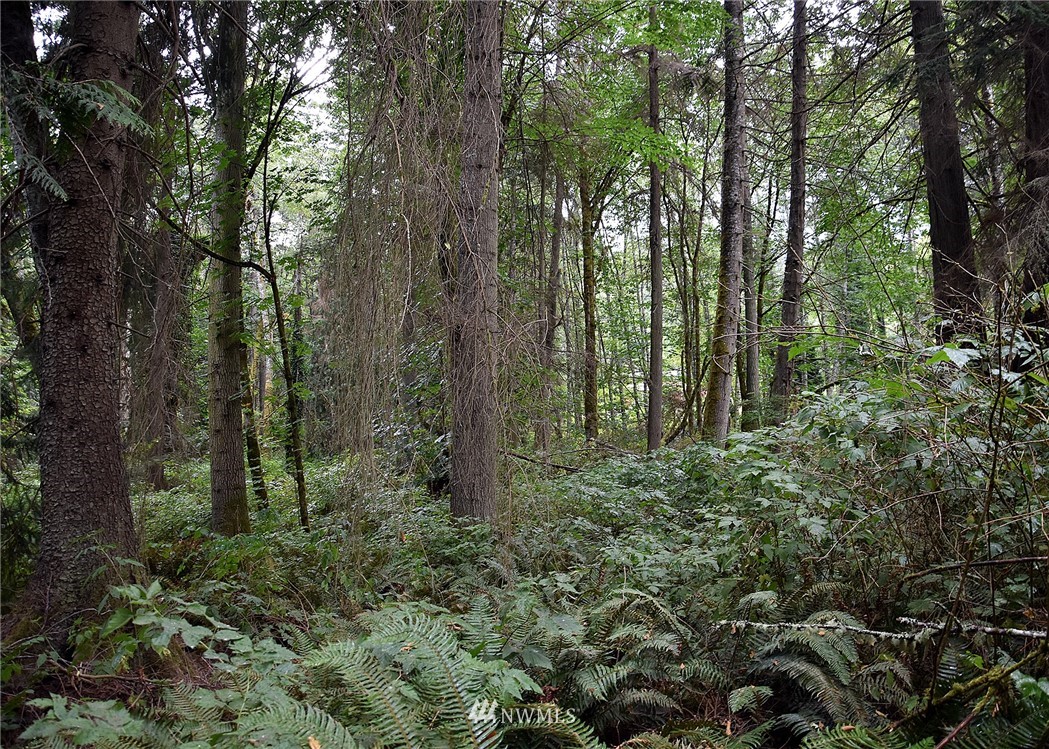 0 Seatter Road Northeast Kingston, WA 98346 - Photo 12 of 15 Gallery Image 12