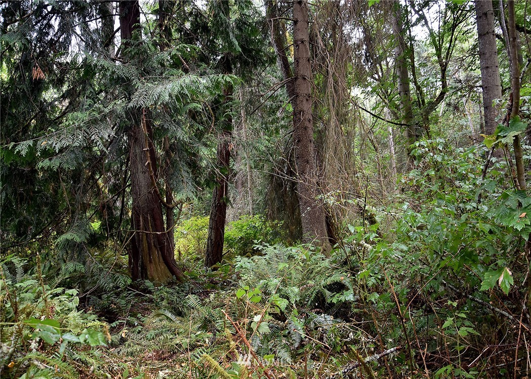 0 Seatter Road Northeast Kingston, WA 98346 - Photo 13 of 15 Gallery Image 13