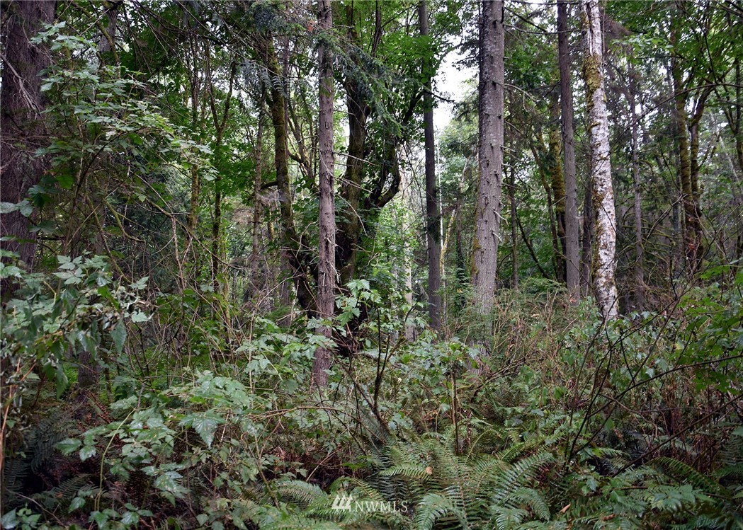 0 Seatter Road Northeast Kingston, WA 98346 - Photo 14 of 15 Gallery Image 14