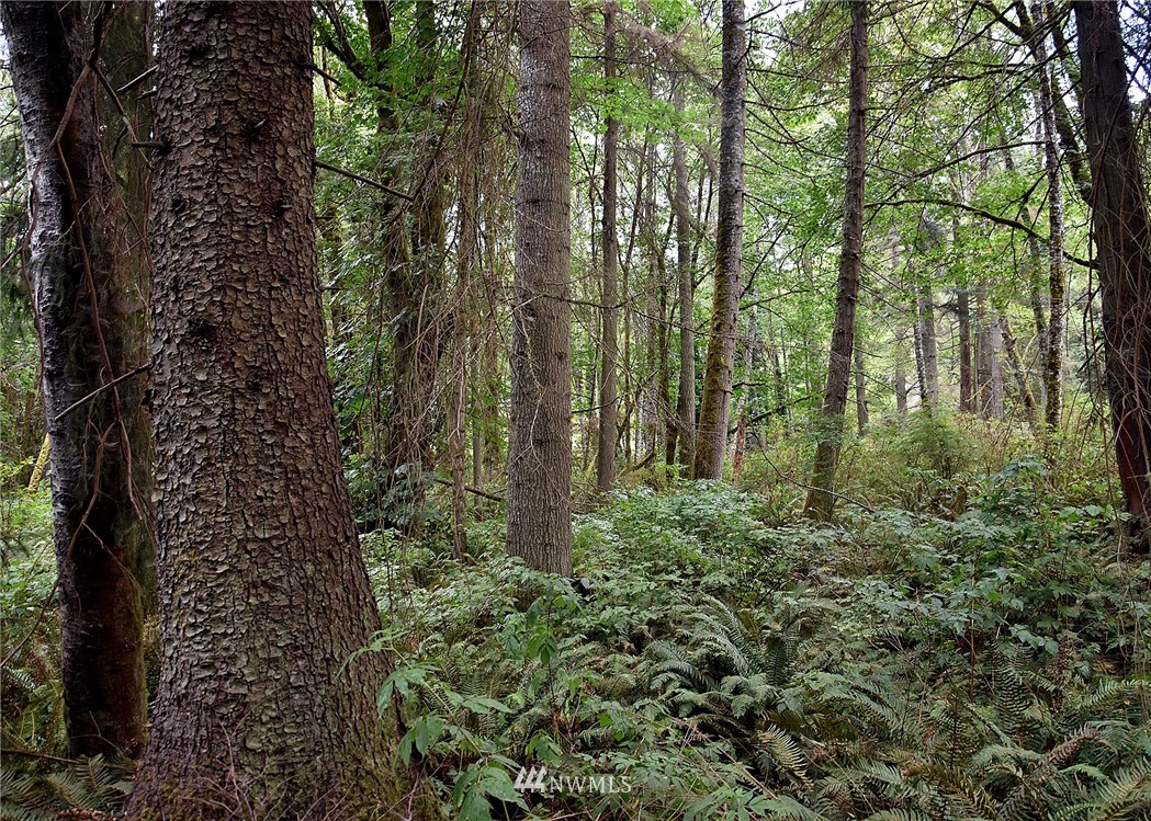 0 Seatter Road Northeast Kingston, WA 98346 - Photo 3 of 15 Gallery Image 3