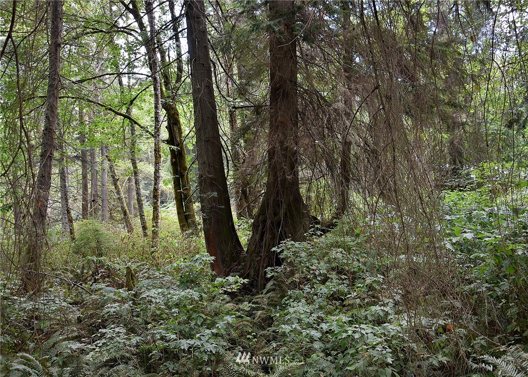 0 Seatter Road Northeast Kingston, WA 98346 - Photo 9 of 15 Gallery Image 9