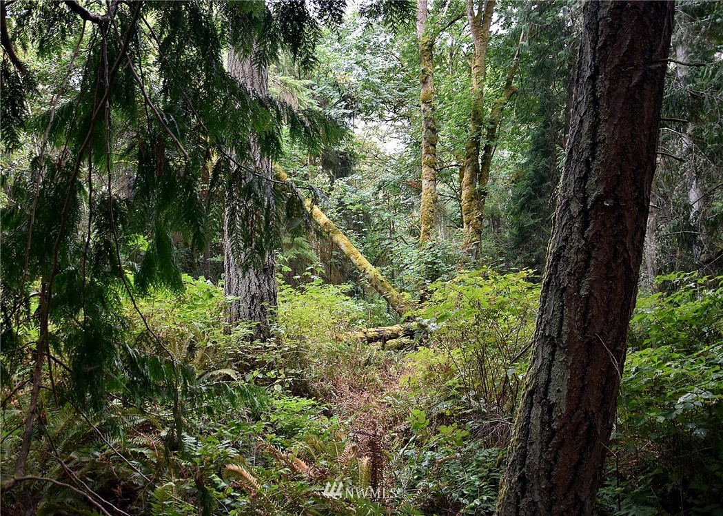 0 Seatter Road Northeast Kingston, WA 98346 - Photo 10 of 15 Gallery Image 10