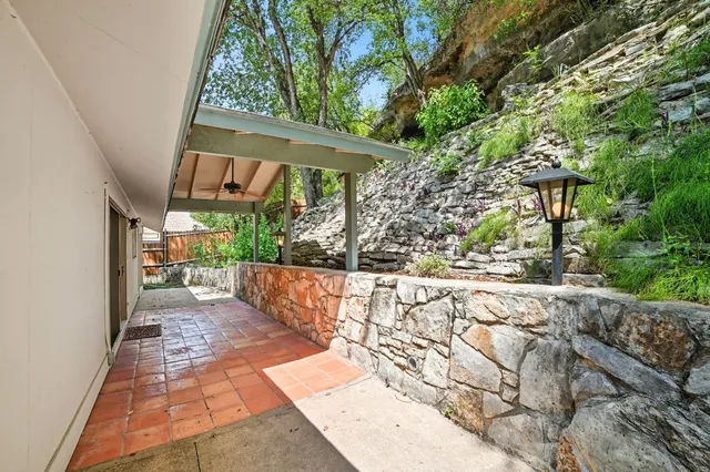 a view of a backyard with plants