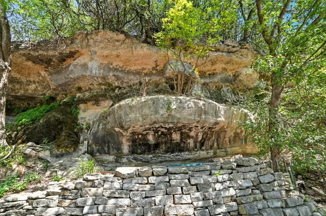 a view of yard with green space