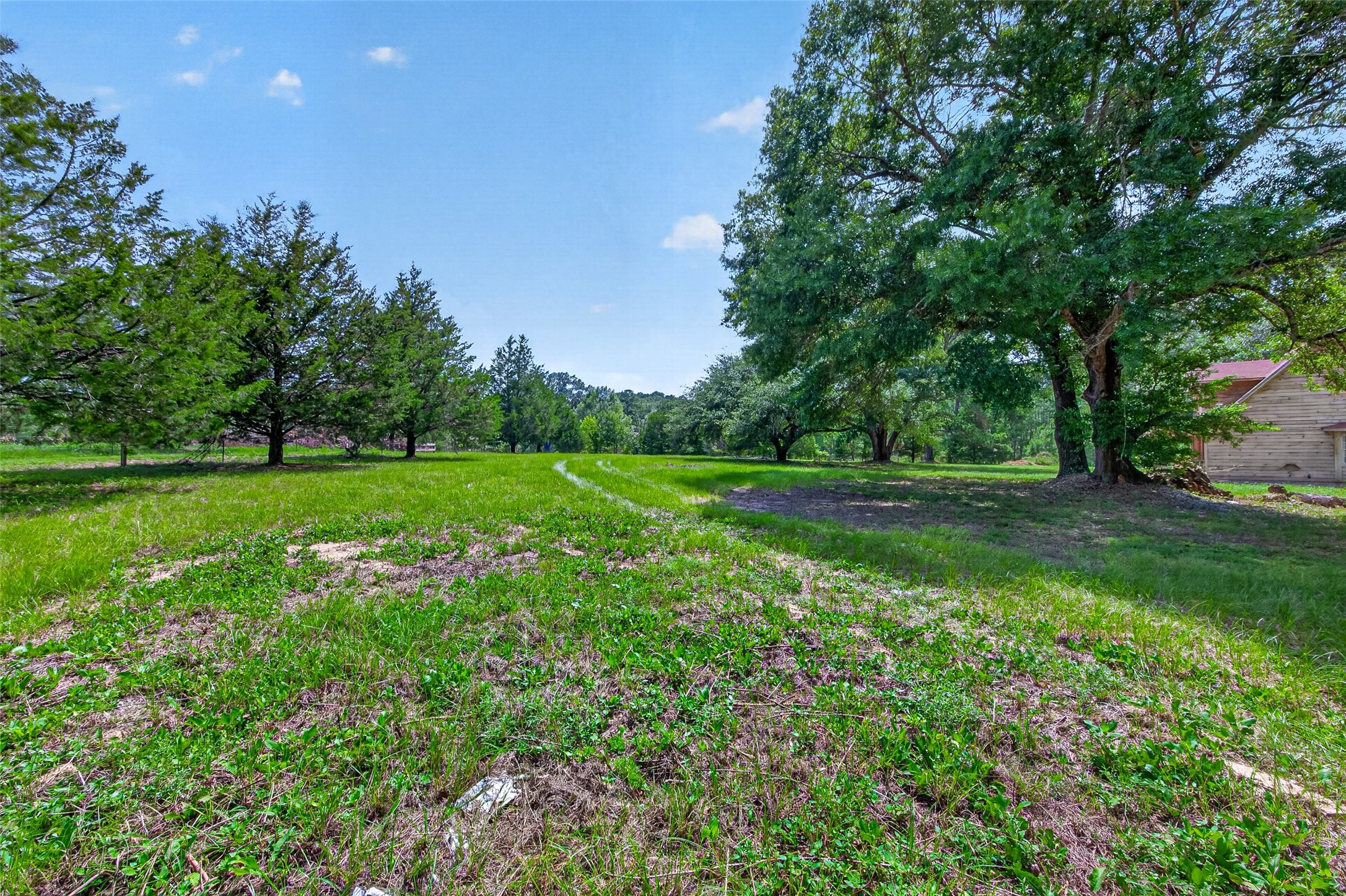1241 Moody Road Cleveland, TX 77328 - Photo 37 of 47