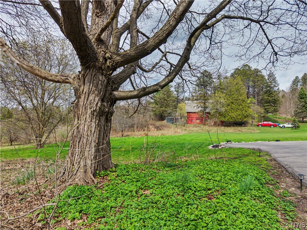 8867 Cazenovia Road Pompey, NY 13035 - Photo 46 of 50