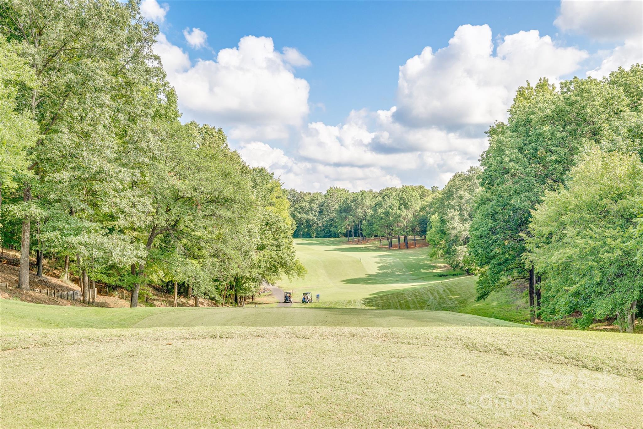 1094 Hunters Run Drive Tega Cay, SC 29708 - Photo 47 of 48 Gallery Image 47