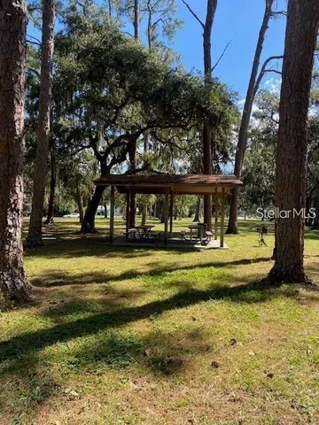 a view of a swimming pool with a garden