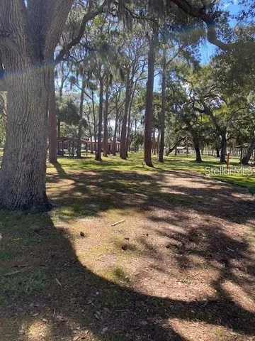a view of a yard with large trees