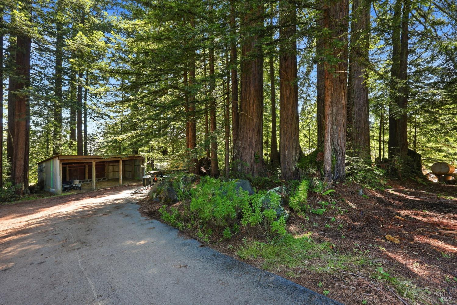 17375 Willow Creek Road Occidental, CA 95465 - Photo 72 of 94