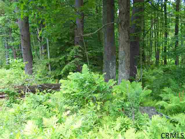 253 Alpine Meadows Road Greenfield, NY 12859 - Photo 2 of 4 Photo 2