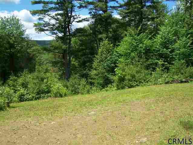 253 Alpine Meadows Road Greenfield, NY 12859 - Photo 4 of 4 Photo 4