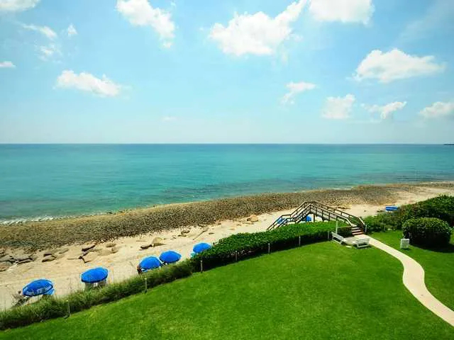 an aerial view of a yard