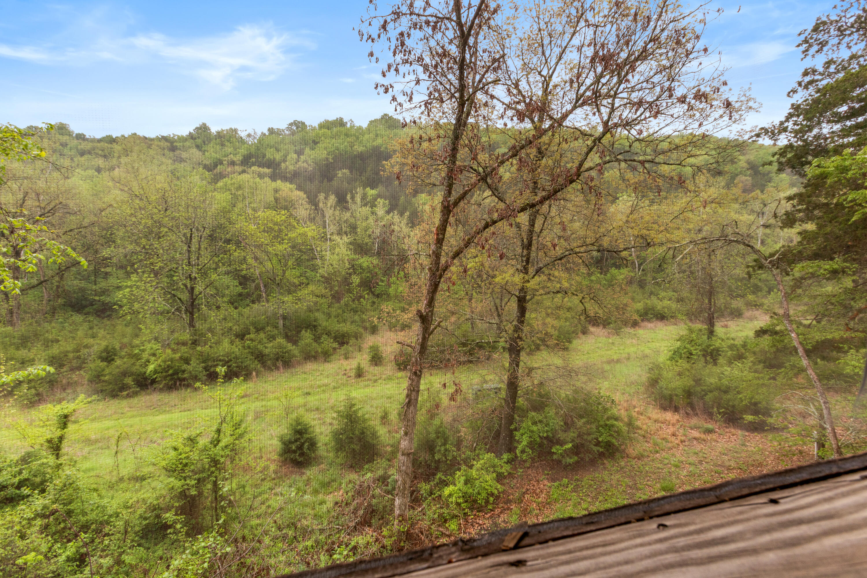 84 Stepping Stone Way Reeds Spring, MO 65737 - Photo 30 of 31 098A3141
