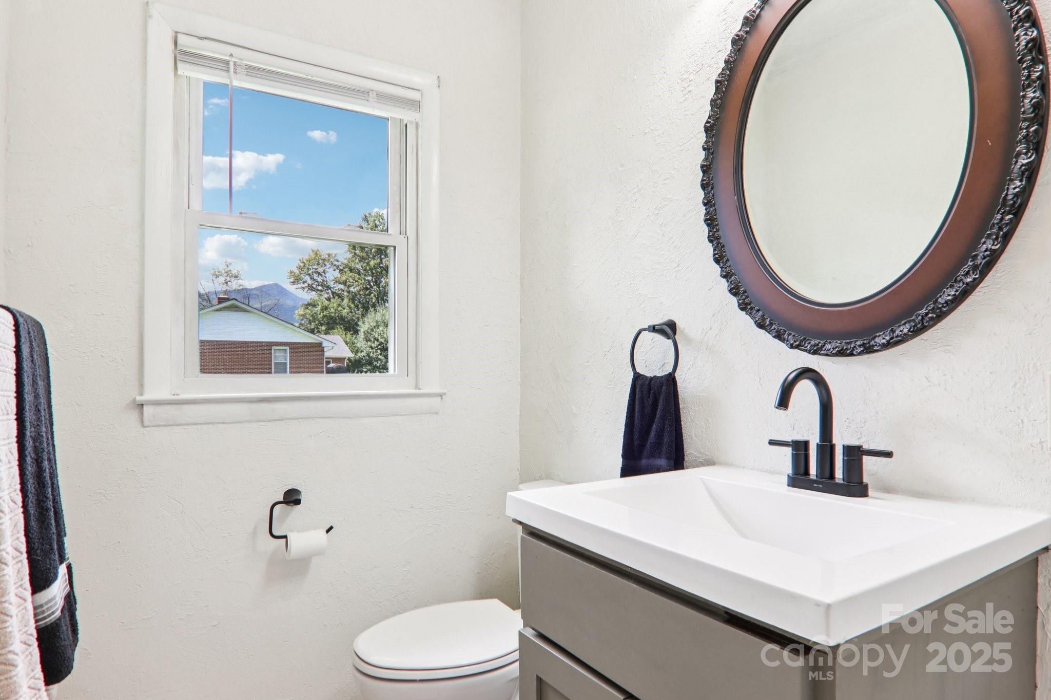 55 Polk Street Waynesville, NC 28786 - Photo 30 of 44 a bathroom with a toilet a sink and mirror
