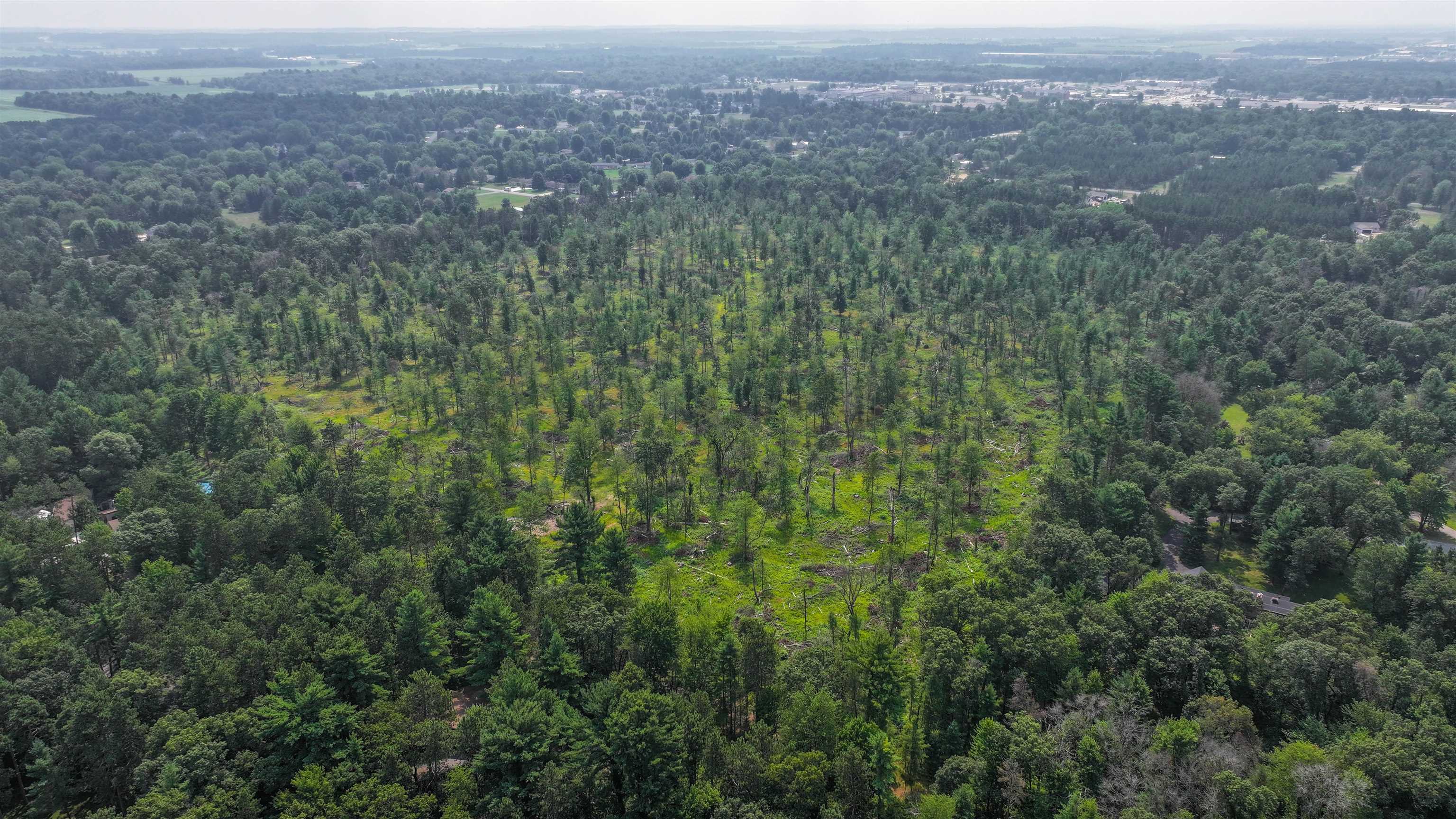 44.59-acres Brilowski Road Stevens Point, WI 54482 - Photo 6 of 10