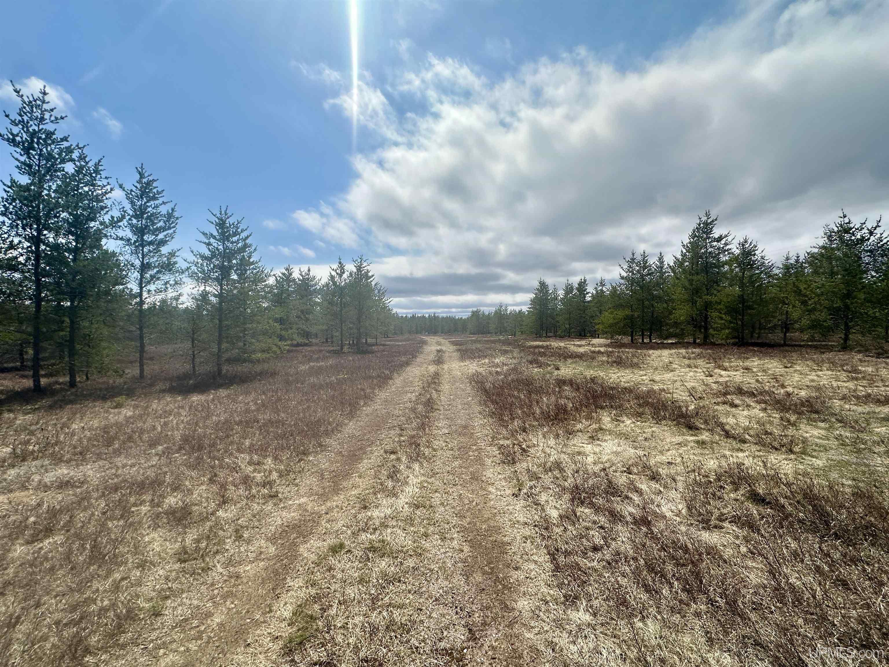 Tbd East Airfield Road Gwinn, MI 49841 - Photo 7 of 18