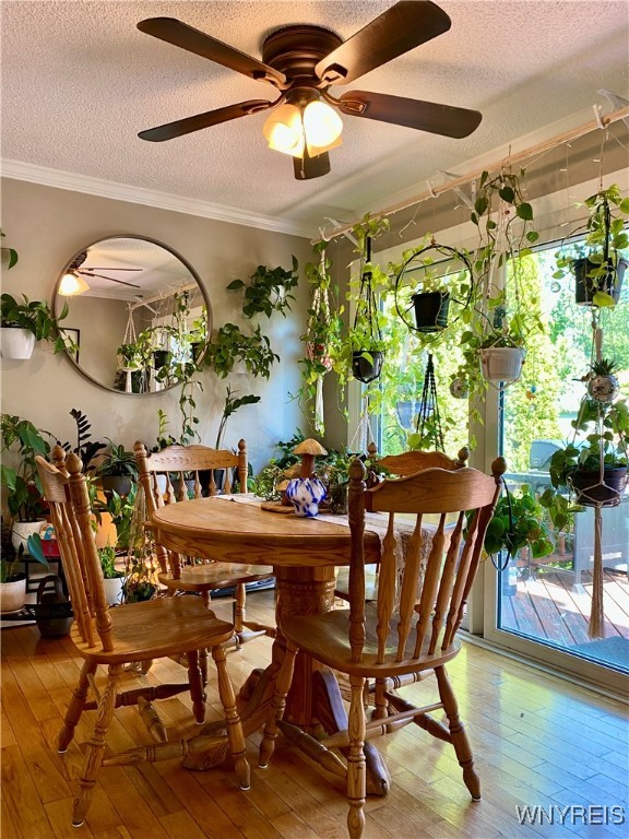 6951 Nash Road Wheatfield, NY 14120 - Photo 11 of 44