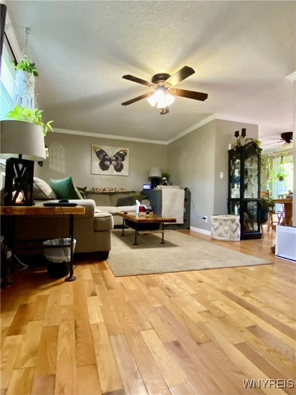 6951 Nash Road Wheatfield, NY 14120 - Photo 5 of 44