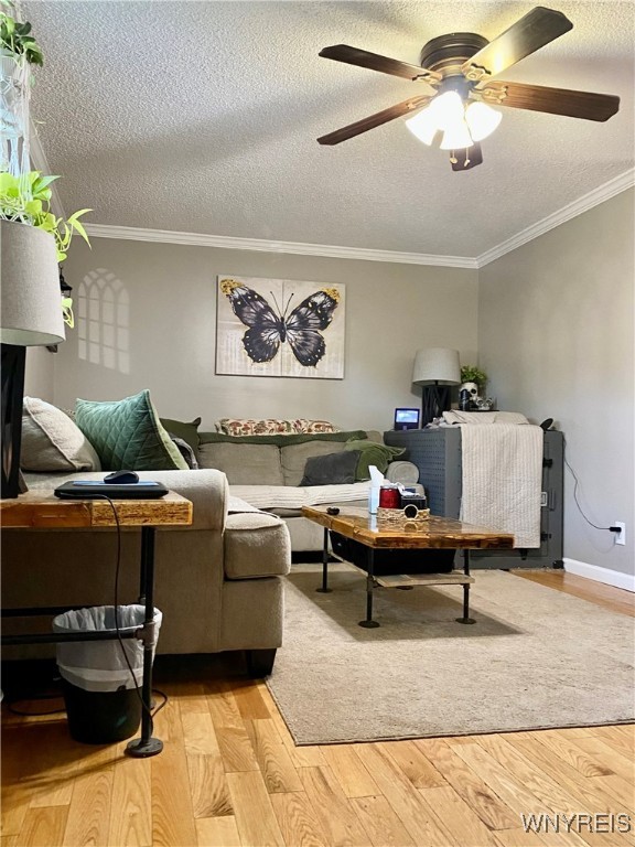 6951 Nash Road Wheatfield, NY 14120 - Photo 6 of 44