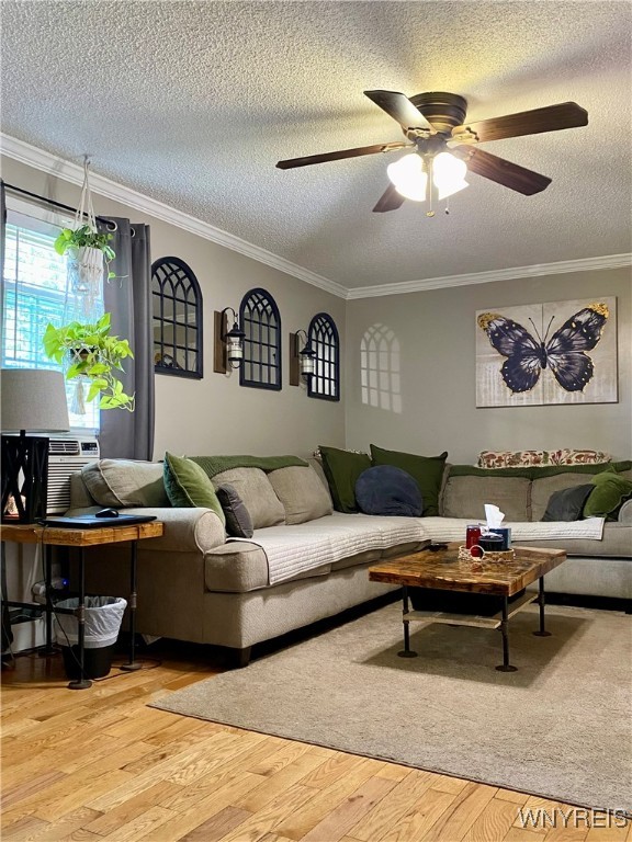 6951 Nash Road Wheatfield, NY 14120 - Photo 7 of 44