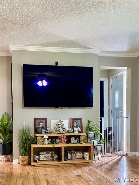 6951 Nash Road Wheatfield, NY 14120 - Photo 8 of 44