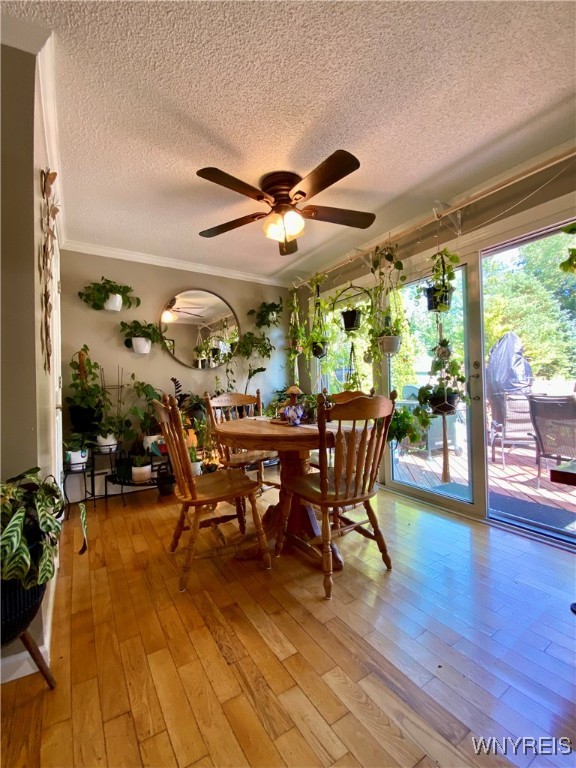 6951 Nash Road Wheatfield, NY 14120 - Photo 9 of 44