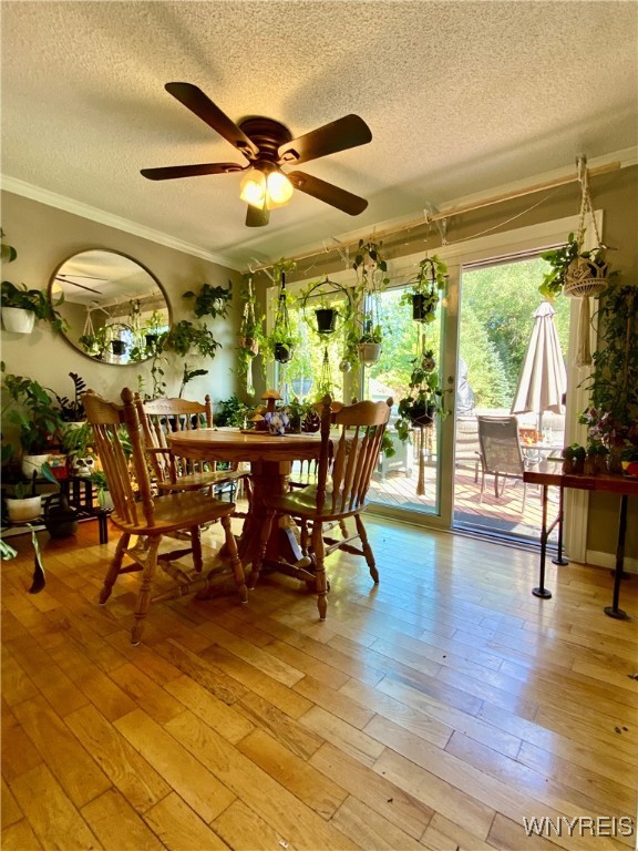 6951 Nash Road Wheatfield, NY 14120 - Photo 10 of 44