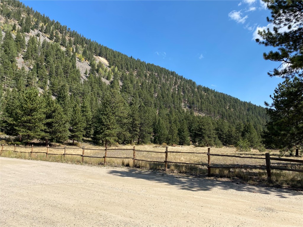 95 Empire West Road, Unit 95 Empire, CO 80438 - Photo 2 of 22 a view of a yard