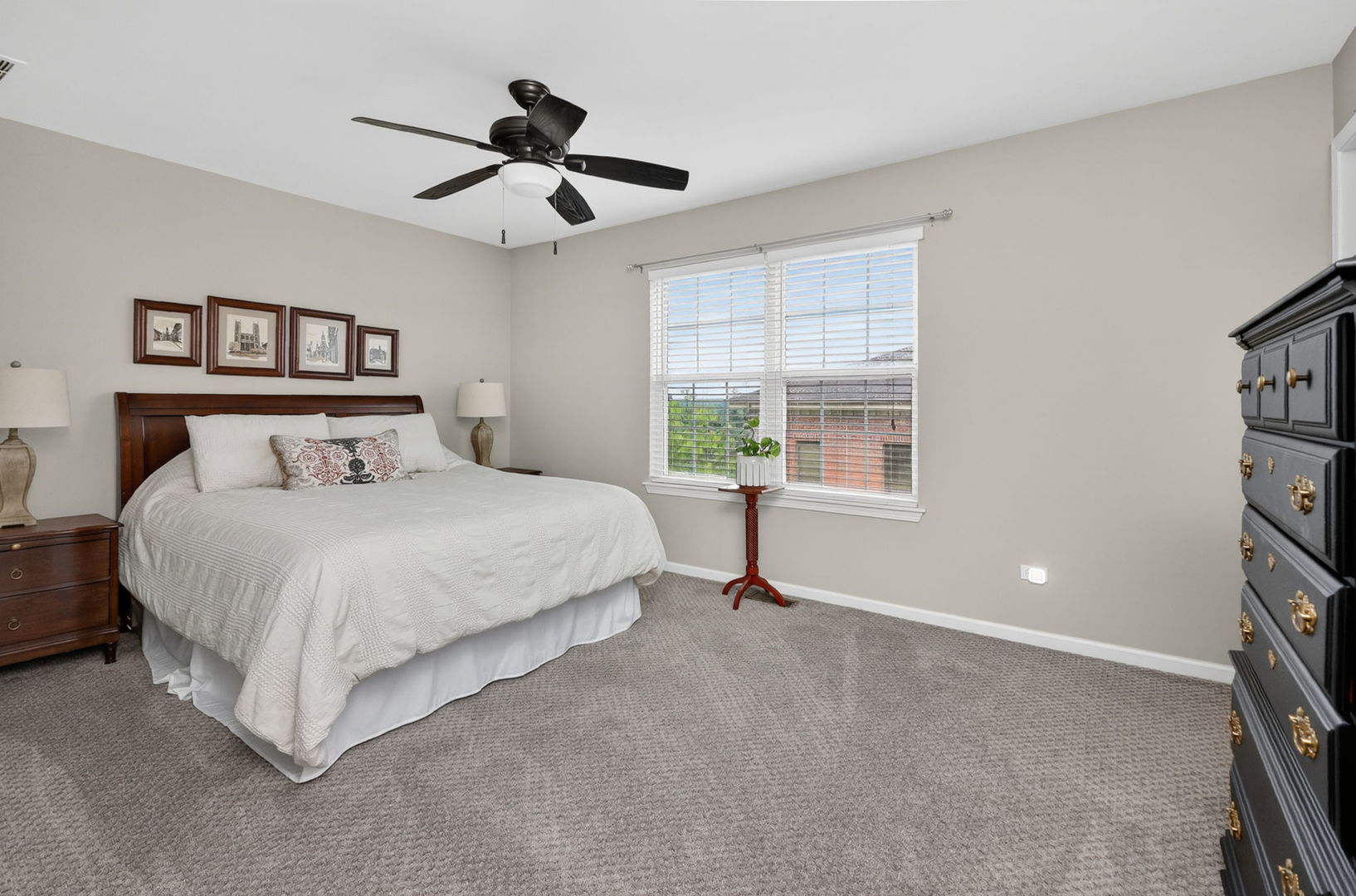 S070 Lee Court Winfield, IL 60190 - Photo 18 of 24
